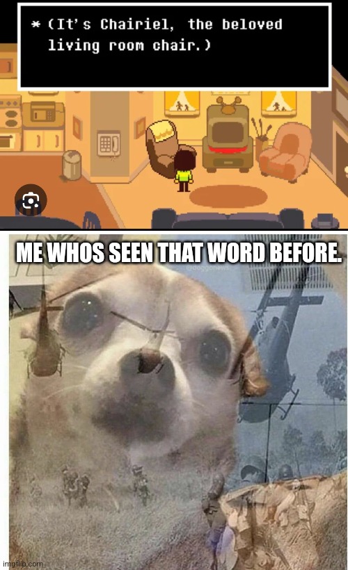 ME WHOS SEEN THAT WORD BEFORE. | image tagged in chariel,ptsd chihuahua | made w/ Imgflip meme maker
