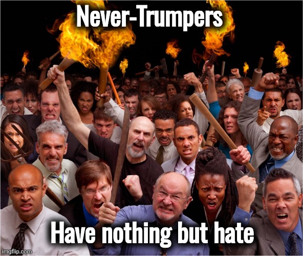 Angry mob | Never-Trumpers Have nothing but hate | image tagged in angry mob | made w/ Imgflip meme maker