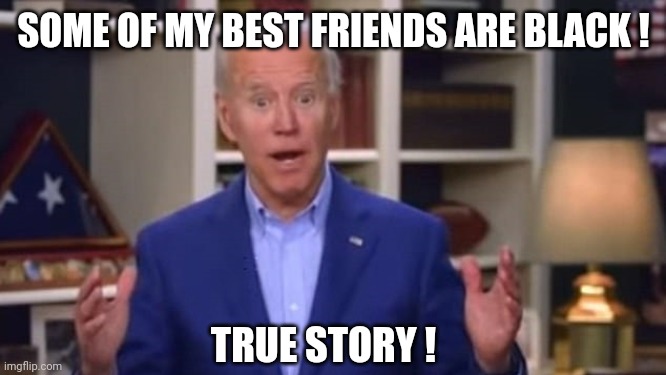 Joe Biden You Ain't Black | SOME OF MY BEST FRIENDS ARE BLACK ! TRUE STORY ! | image tagged in joe biden you ain't black | made w/ Imgflip meme maker