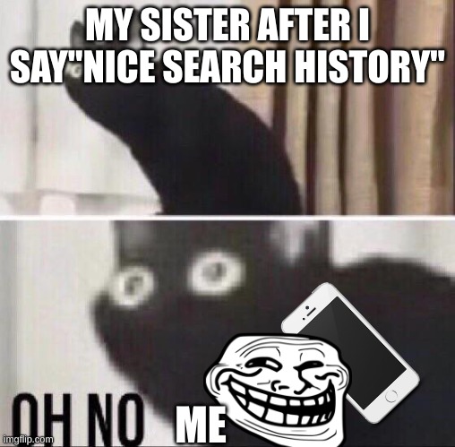 ... | MY SISTER AFTER I SAY"NICE SEARCH HISTORY"; ME | image tagged in oh no cat | made w/ Imgflip meme maker