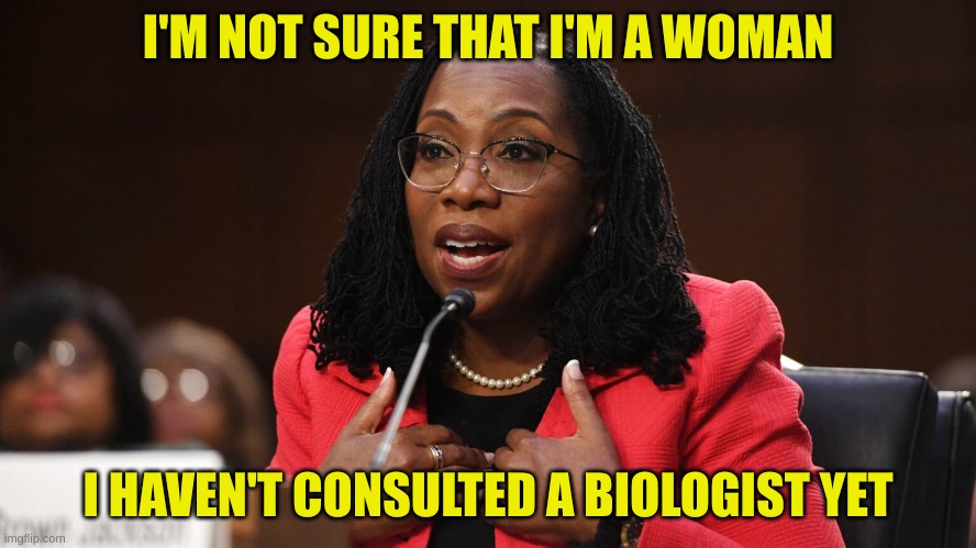 Ketanji Brown Jackson | I'M NOT SURE THAT I'M A WOMAN I HAVEN'T CONSULTED A BIOLOGIST YET | image tagged in ketanji brown jackson | made w/ Imgflip meme maker