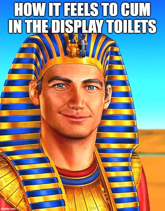 how it feels to cum in the display toilets | HOW IT FEELS TO CUM IN THE DISPLAY TOILETS | image tagged in white egyptian | made w/ Imgflip meme maker