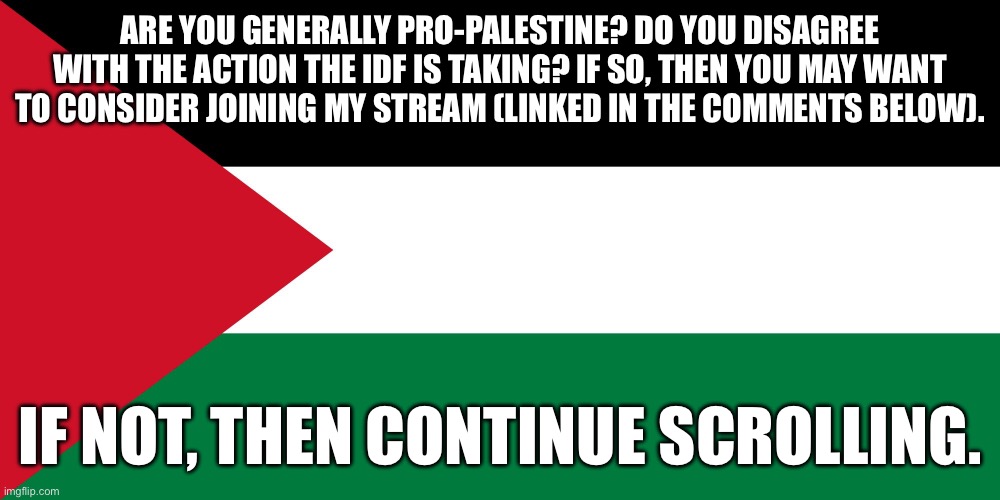 palestine | ARE YOU GENERALLY PRO-PALESTINE? DO YOU DISAGREE WITH THE ACTION THE IDF IS TAKING? IF SO, THEN YOU MAY WANT TO CONSIDER JOINING MY STREAM (LINKED IN THE COMMENTS BELOW). IF NOT, THEN CONTINUE SCROLLING. | image tagged in palestine | made w/ Imgflip meme maker
