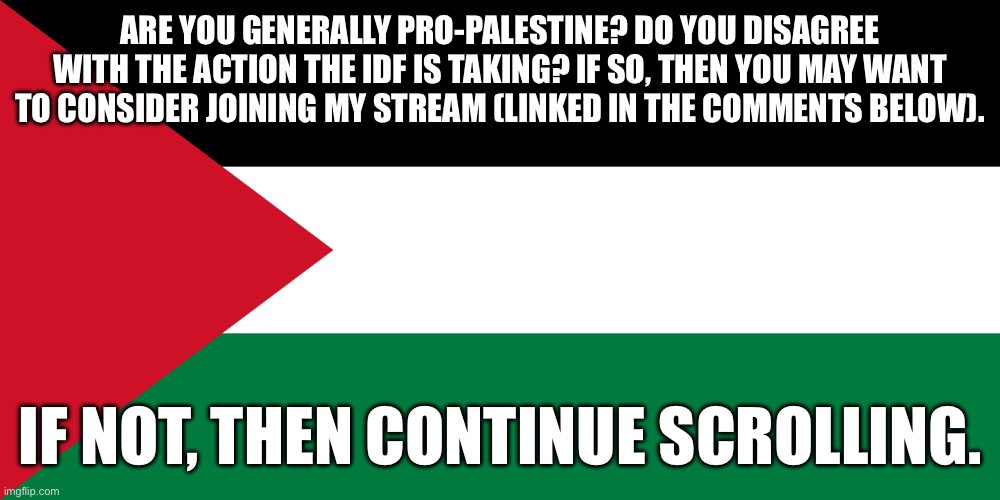 May as well try promoting this again | ARE YOU GENERALLY PRO-PALESTINE? DO YOU DISAGREE WITH THE ACTION THE IDF IS TAKING? IF SO, THEN YOU MAY WANT TO CONSIDER JOINING MY STREAM (LINKED IN THE COMMENTS BELOW). IF NOT, THEN CONTINUE SCROLLING. | image tagged in palestine | made w/ Imgflip meme maker