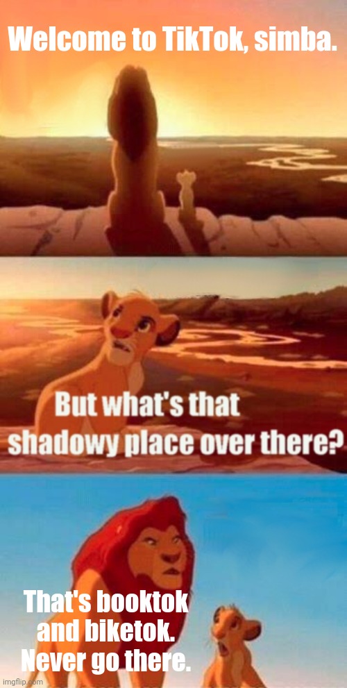 Simba Shadowy Place | Welcome to TikTok, simba. That's booktok and biketok. Never go there. | image tagged in simba shadowy place | made w/ Imgflip meme maker