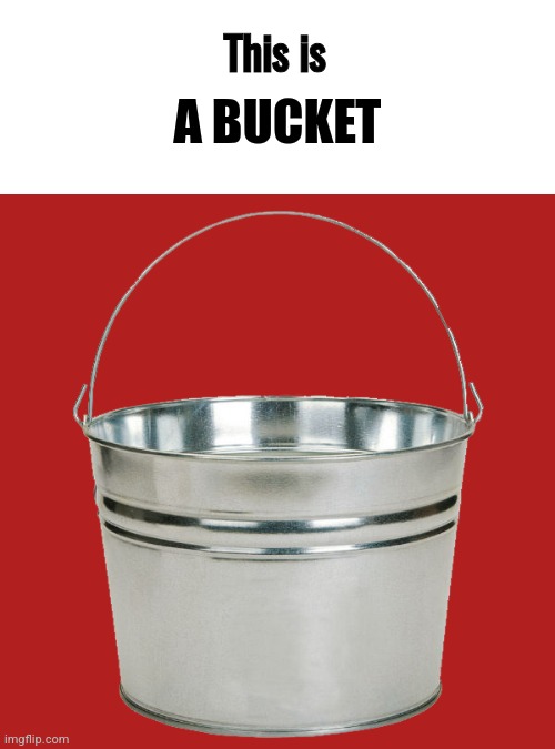 This is a bucket | A BUCKET; This is | image tagged in this is a bucket | made w/ Imgflip meme maker