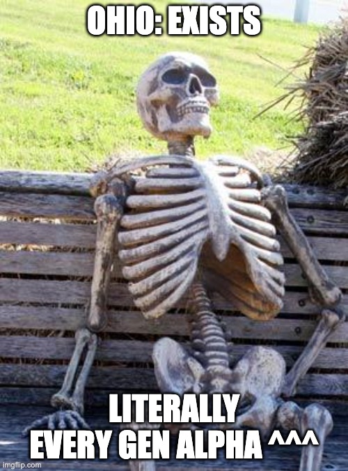 Waiting Skeleton | OHIO: EXISTS; LITERALLY EVERY GEN ALPHA ^^^ | image tagged in memes,waiting skeleton | made w/ Imgflip meme maker