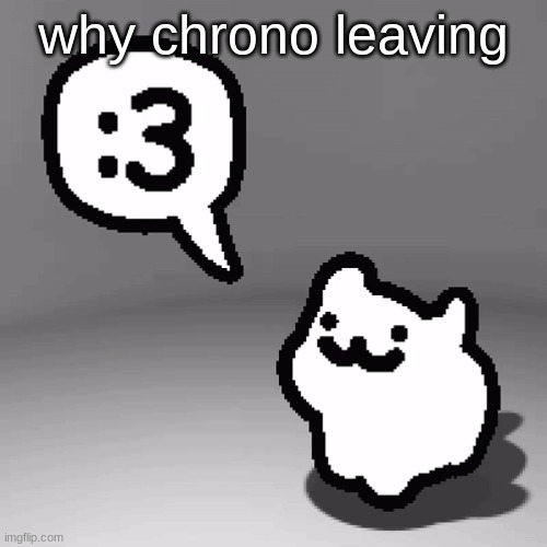 :3 cat | why chrono leaving | image tagged in 3 cat | made w/ Imgflip meme maker