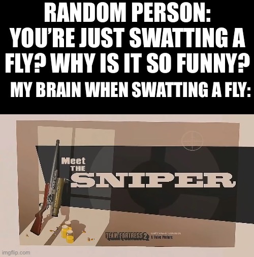 I’ll be sniping them flies left and right | RANDOM PERSON: YOU’RE JUST SWATTING A FLY? WHY IS IT SO FUNNY? MY BRAIN WHEN SWATTING A FLY: | image tagged in meet the sniper,yes,memes,oh wow are you actually reading these tags,lemon | made w/ Imgflip meme maker