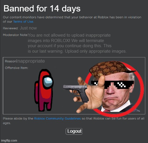 Roblox Ban | Banned for 14 days; Just now; You are not allowed to upload inappropriate images into ROBLOX! We will terminate your account if you continue doing this. This is our last warning. Upload only appropriate images. Inappropriate; Logout | image tagged in roblox ban | made w/ Imgflip meme maker