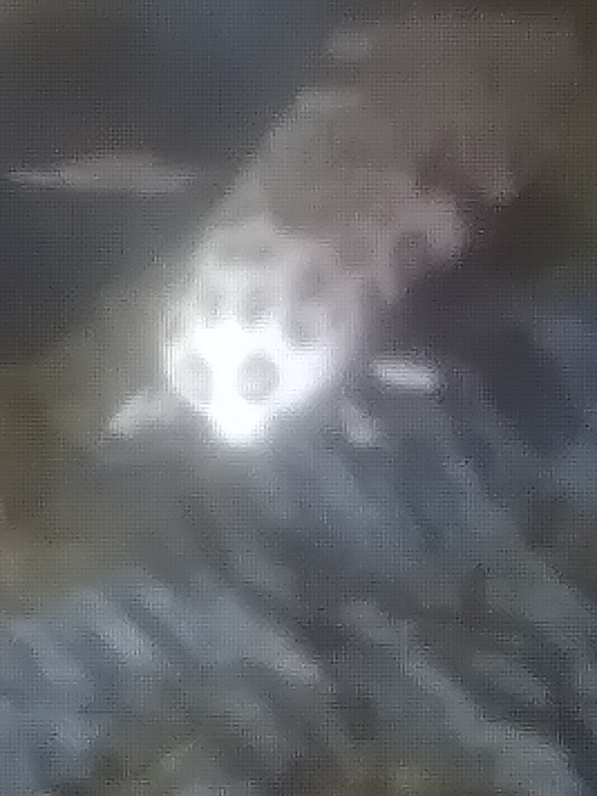 Owly Blank Meme Template