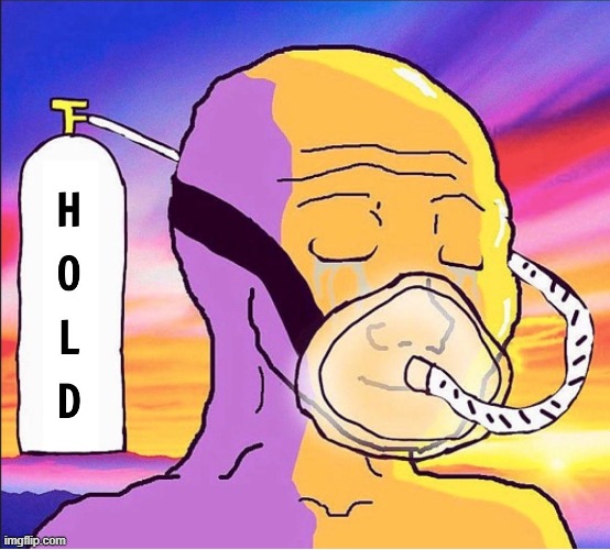 hold | image tagged in hold,crypto,bitcoin,memecoin | made w/ Imgflip meme maker