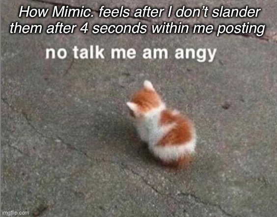 Msmg user slander #8 | How Mimic. feels after I don’t slander them after 4 seconds within me posting | image tagged in no talk me am angy | made w/ Imgflip meme maker