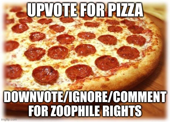 Coming out pizza  | UPVOTE FOR PIZZA; DOWNVOTE/IGNORE/COMMENT FOR ZOOPHILE RIGHTS | image tagged in coming out pizza,memes,funny | made w/ Imgflip meme maker