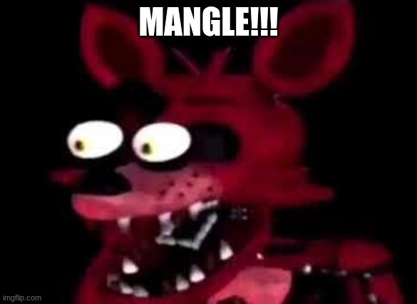 foxy | MANGLE!!! | image tagged in foxy | made w/ Imgflip meme maker