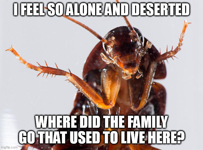 Lonely roach... | I FEEL SO ALONE AND DESERTED; WHERE DID THE FAMILY GO THAT USED TO LIVE HERE? | image tagged in cockroach meme | made w/ Imgflip meme maker