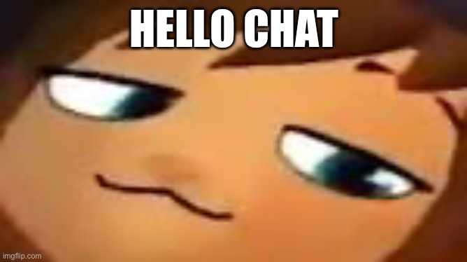 smug hat kid.mp4 | HELLO CHAT | image tagged in smug hat kid mp4 | made w/ Imgflip meme maker