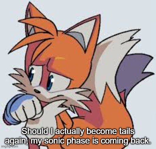 Tails The Fox | Should I actually become tails again, my sonic phase is coming back. | image tagged in tails the fox | made w/ Imgflip meme maker