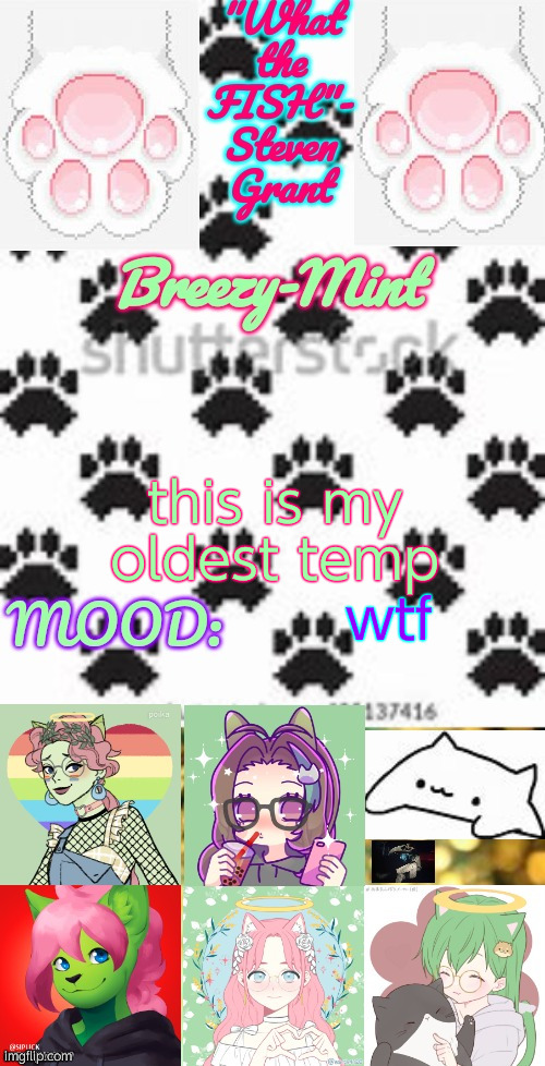Breezy-Mint | this is my oldest temp; wtf | image tagged in breezy-mint | made w/ Imgflip meme maker