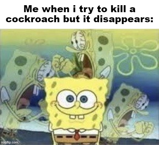 Bread | Me when i try to kill a cockroach but it disappears: | image tagged in spongebob internal screaming | made w/ Imgflip meme maker