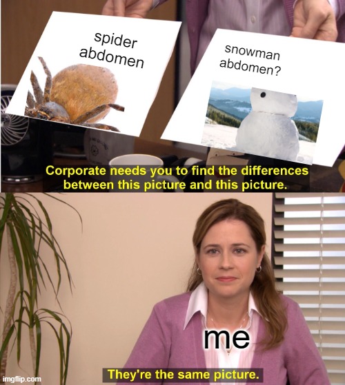 They're The Same Picture Meme | spider abdomen; snowman abdomen? me | image tagged in memes,they're the same picture | made w/ Imgflip meme maker