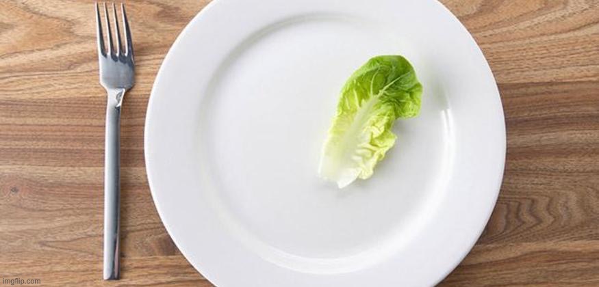 Single Leaf of Lettuce | image tagged in single leaf of lettuce | made w/ Imgflip meme maker