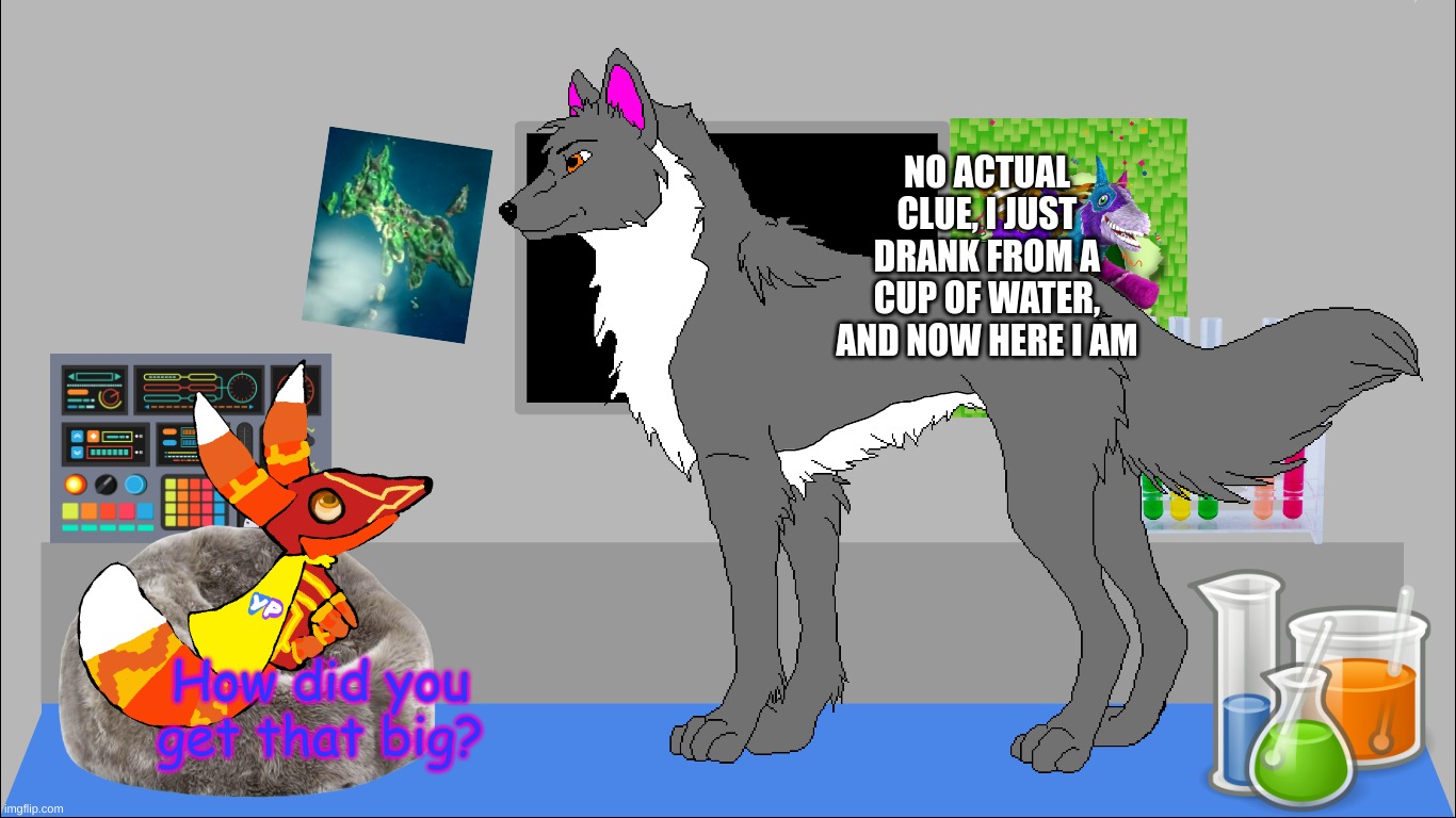 what's going on with Super Pretztail right now | NO ACTUAL CLUE, I JUST DRANK FROM A CUP OF WATER, AND NOW HERE I AM; How did you get that big? | image tagged in super pretztail's main room | made w/ Imgflip meme maker