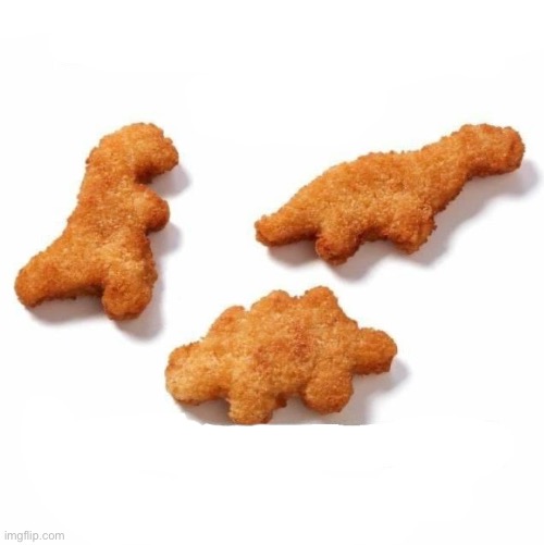 Dino Nuggs Empty | image tagged in dino nuggs empty | made w/ Imgflip meme maker