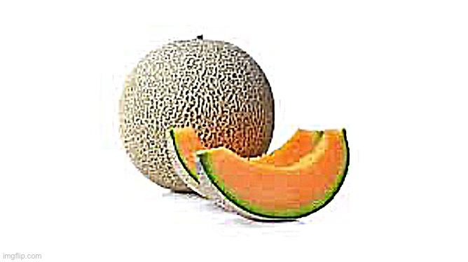 Yahiamice Cantaloupe | image tagged in yahiamice cantaloupe | made w/ Imgflip meme maker