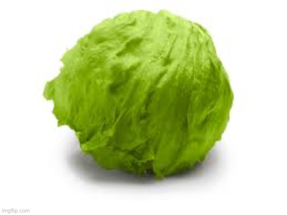 lettuce | image tagged in lettuce | made w/ Imgflip meme maker