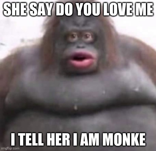 Le Monke | SHE SAY DO YOU LOVE ME; I TELL HER I AM MONKE | image tagged in le monke | made w/ Imgflip meme maker