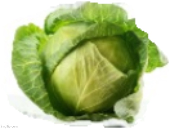 Lettuce | image tagged in lettuce | made w/ Imgflip meme maker