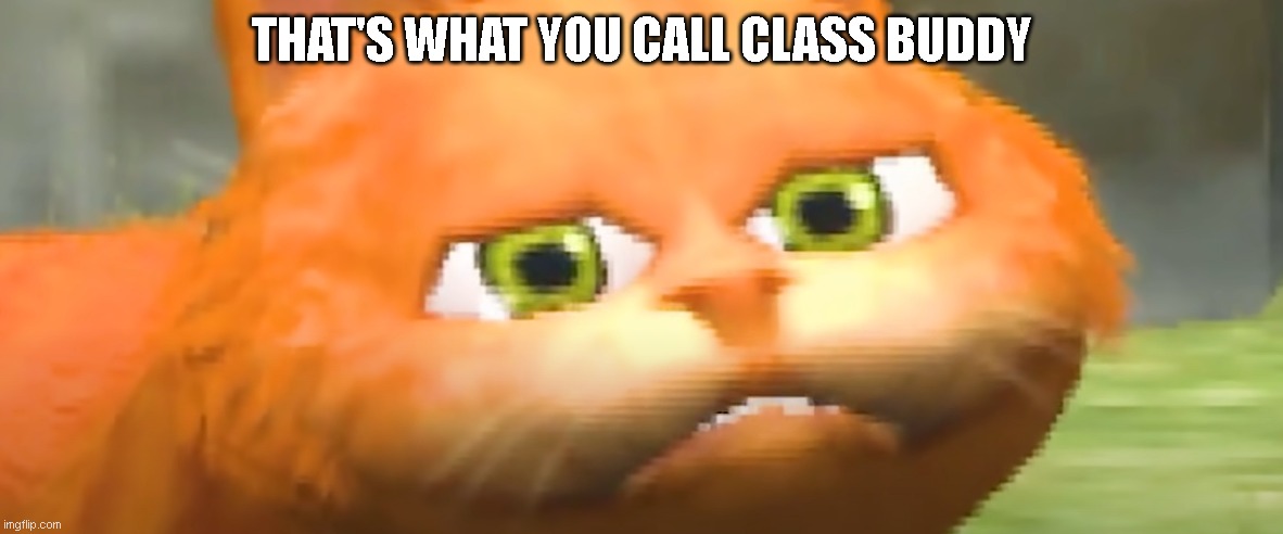 Class in true form | THAT'S WHAT YOU CALL CLASS BUDDY | image tagged in that's what you call class buddy | made w/ Imgflip meme maker