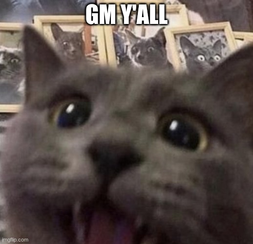 :D | GM Y'ALL | image tagged in d | made w/ Imgflip meme maker