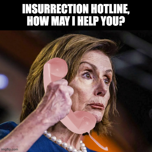 Insurrection hotline | INSURRECTION HOTLINE, HOW MAY I HELP YOU? | image tagged in nancy pelosi,insurrection hotline | made w/ Imgflip meme maker