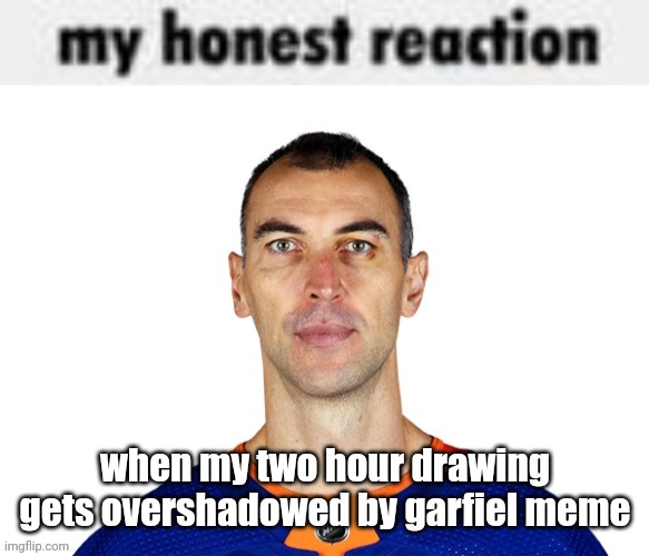 my honest reaction | when my two hour drawing gets overshadowed by garfiel meme | image tagged in my honest reaction | made w/ Imgflip meme maker