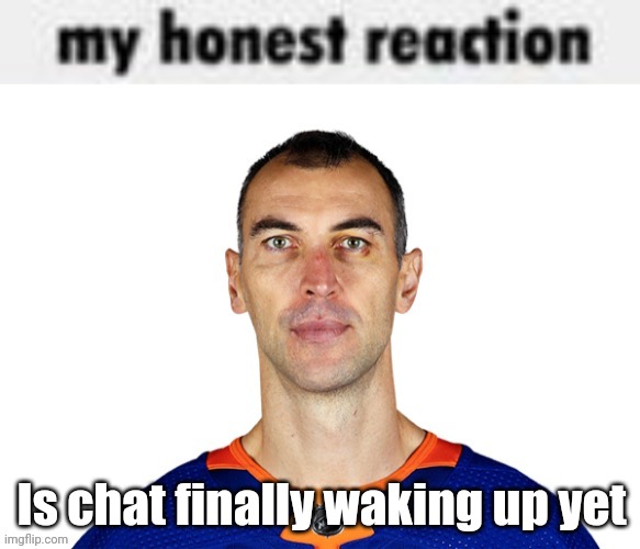 my honest reaction | Is chat finally waking up yet | image tagged in my honest reaction | made w/ Imgflip meme maker