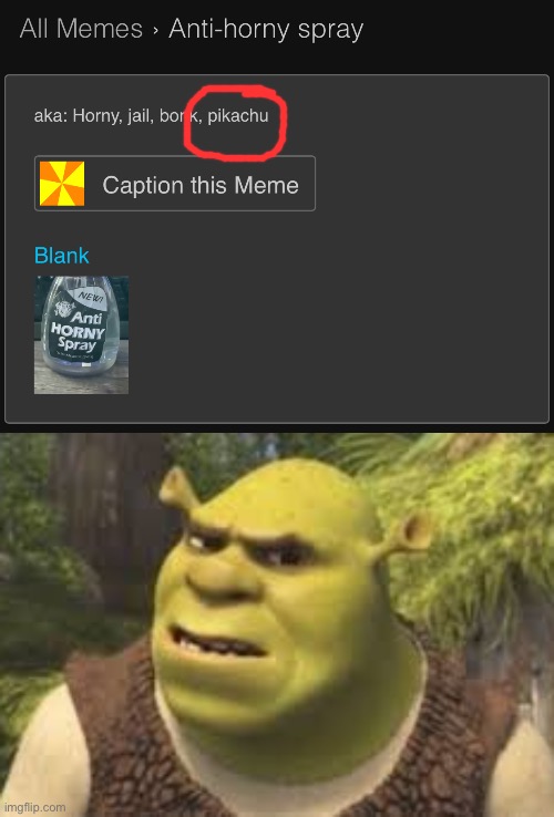 image tagged in confused shrek | made w/ Imgflip meme maker