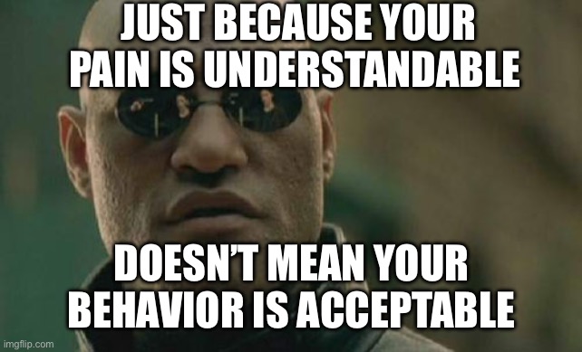 Your pain does not excuse you | JUST BECAUSE YOUR PAIN IS UNDERSTANDABLE; DOESN’T MEAN YOUR BEHAVIOR IS ACCEPTABLE | image tagged in memes,matrix morpheus | made w/ Imgflip meme maker