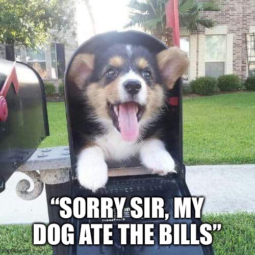 Doggo | “SORRY SIR, MY DOG ATE THE BILLS” | image tagged in cute doggo in mailbox | made w/ Imgflip meme maker