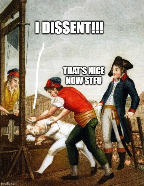 Dissent | I DISSENT!!! THAT'S NICE
NOW STFU | image tagged in dissent,scotus,waste of time | made w/ Imgflip meme maker