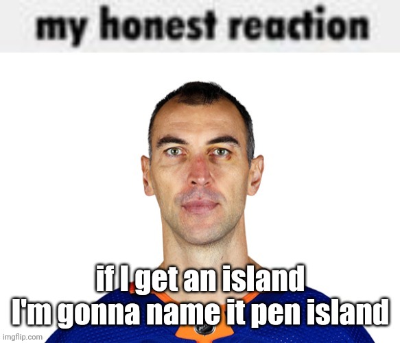 my honest reaction | if I get an island I'm gonna name it pen island | image tagged in my honest reaction | made w/ Imgflip meme maker