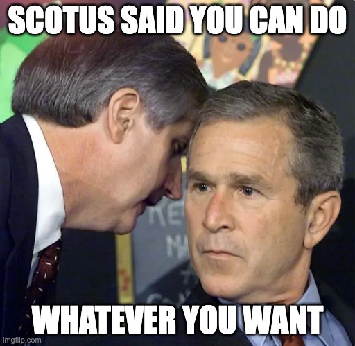 presidential immunity | SCOTUS SAID YOU CAN DO; WHATEVER YOU WANT | image tagged in a second plane has just hit | made w/ Imgflip meme maker