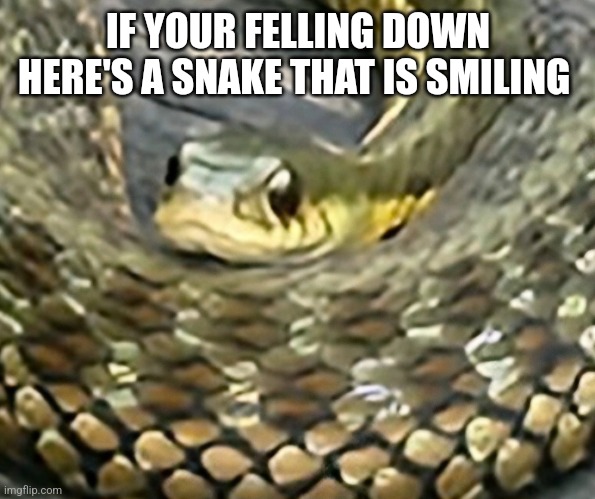 Bruh | IF YOUR FELLING DOWN HERE'S A SNAKE THAT IS SMILING | image tagged in memes | made w/ Imgflip meme maker