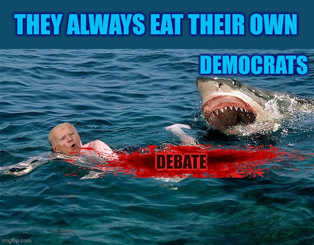 Swimming with sharks | THEY ALWAYS EAT THEIR OWN; DEMOCRATS; DEBATE | image tagged in swimming with sharks | made w/ Imgflip meme maker