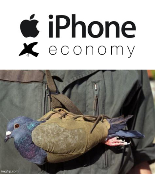 New iPhone Released with Future Economies in Mind | image tagged in funny,memes,iphone,pigeon | made w/ Imgflip meme maker