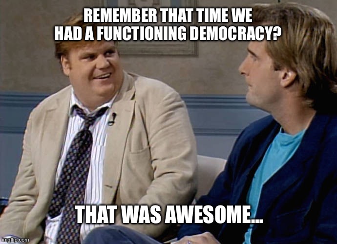 GOP brings democracy to an end | REMEMBER THAT TIME WE HAD A FUNCTIONING DEMOCRACY? THAT WAS AWESOME… | image tagged in remember that time | made w/ Imgflip meme maker