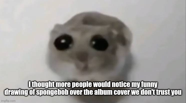 Sad Hamster | I thought more people would notice my funny drawing of spongebob over the album cover we don't trust you | image tagged in sad hamster | made w/ Imgflip meme maker