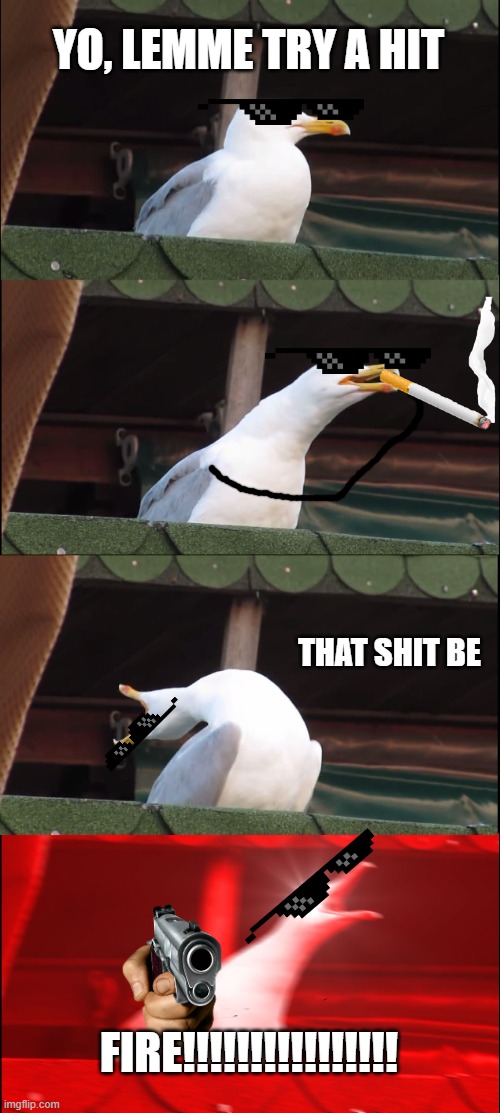 Birb smokin' V2 | YO, LEMME TRY A HIT; THAT SHIT BE; FIRE!!!!!!!!!!!!!!!! | image tagged in memes,inhaling seagull | made w/ Imgflip meme maker