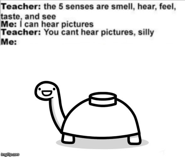 That Turtle seems like he wanna say something. | image tagged in you can't hear pictures,funny,asdfmovie | made w/ Imgflip meme maker